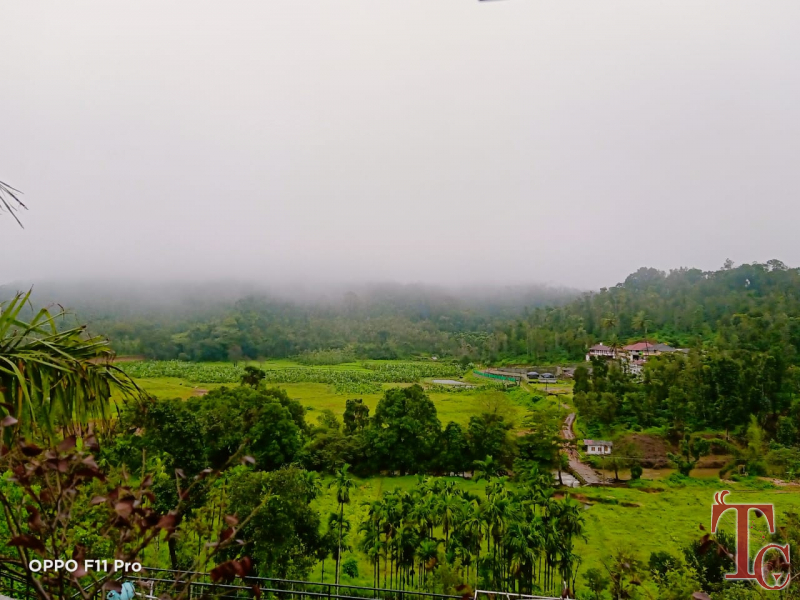 Guddadasiri Homestay photo 14