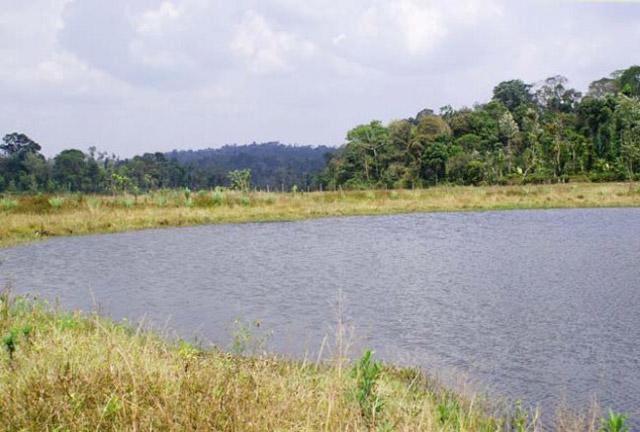 Coorg O Farm Homestay photo 13