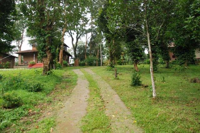 Coorg O Farm Homestay photo 16