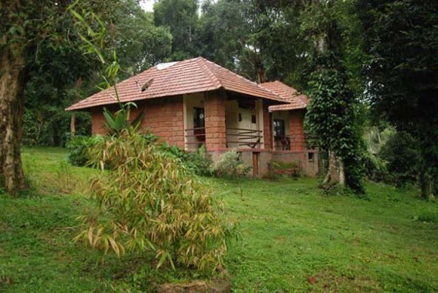 Coorg O Farm Homestay photo 19