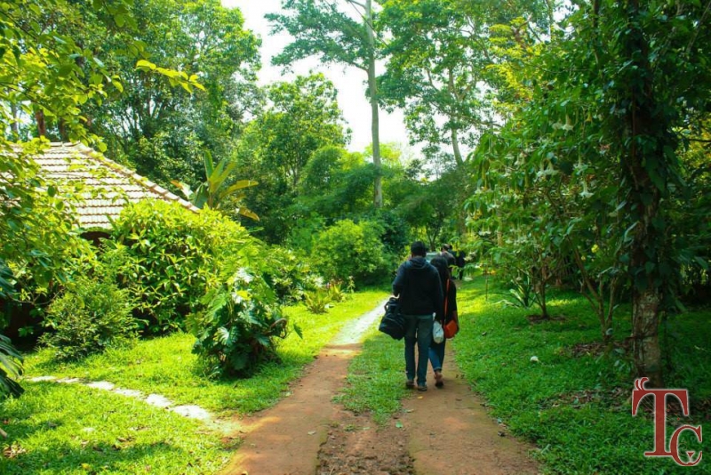 Coorg O Farm Homestay photo 29