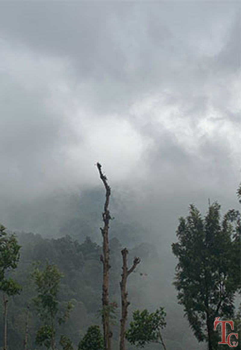 Sunbird Homestay photo 17