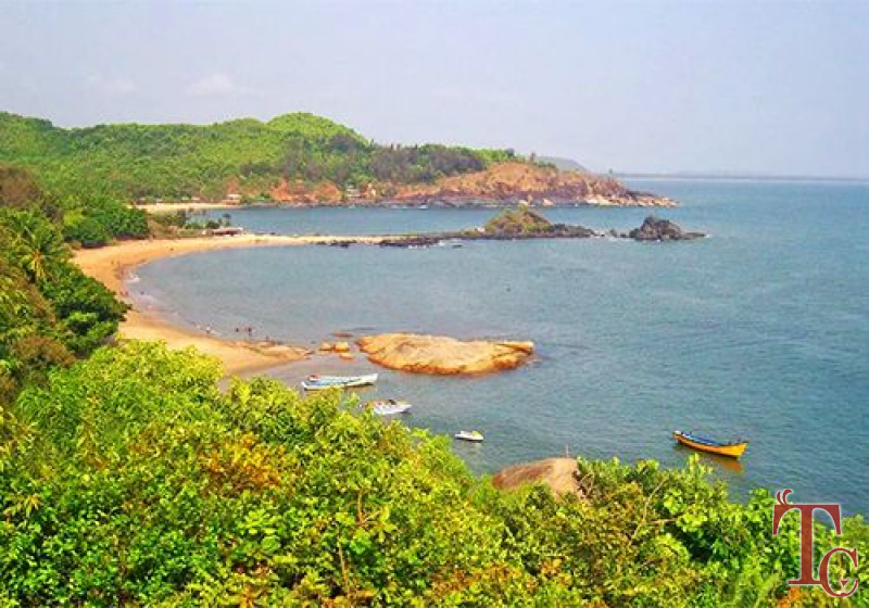 Mattighatta Homestay photo 10