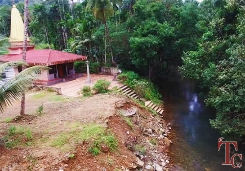Mattighatta Homestay photo 13