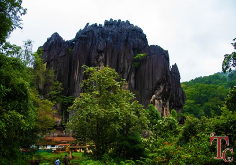 Mattighatta Homestay photo 14