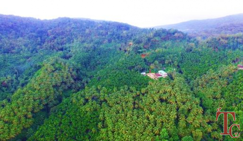 Mattighatta Homestay photo 18