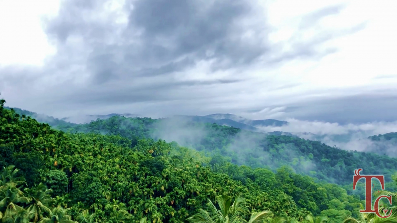 Mattighatta Homestay photo 21