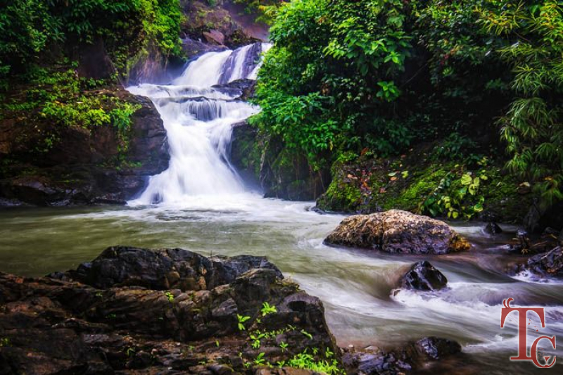Mattighatta Homestay photo 27