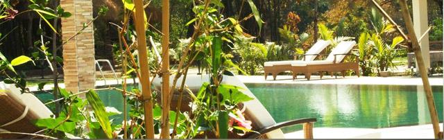 Amanvana Spa and Resort photo 6