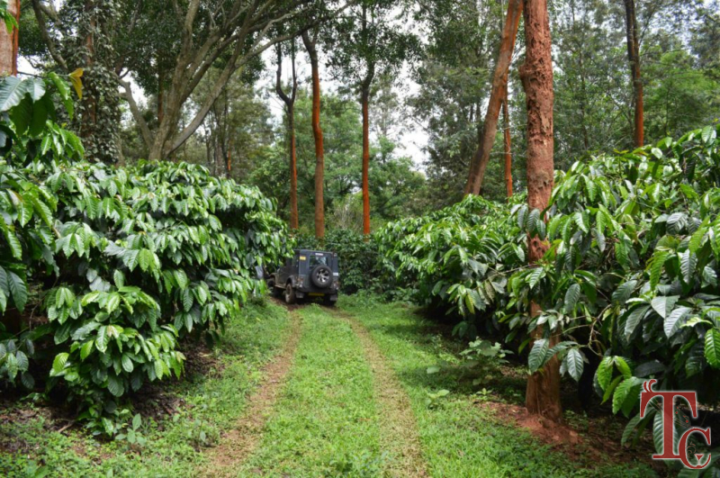 Kumbarahalli Homestay photo 38