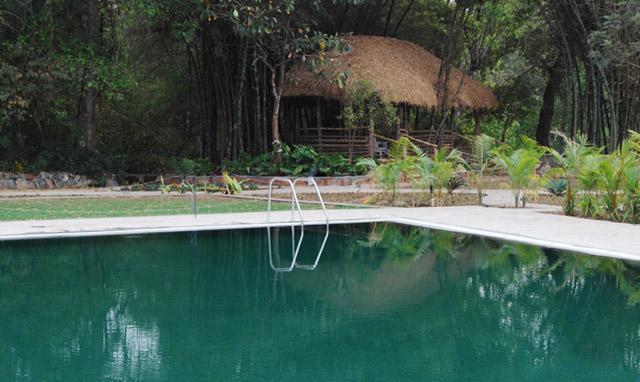 Amanvana Spa and Resort photo 9