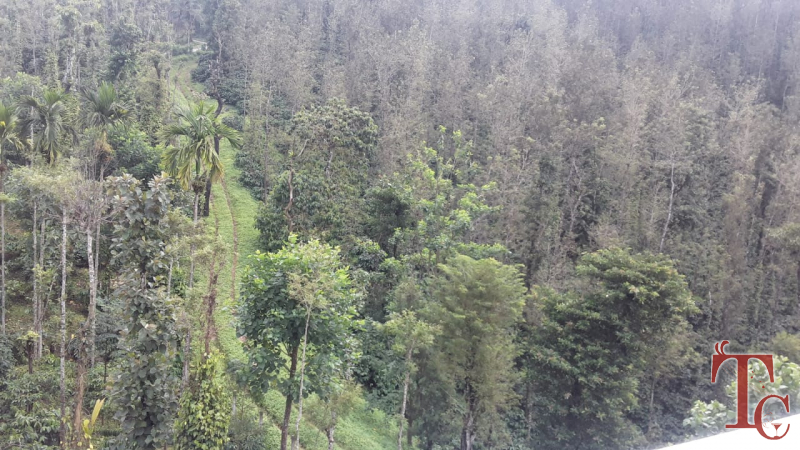 Cascade Valley Homestay photo 4