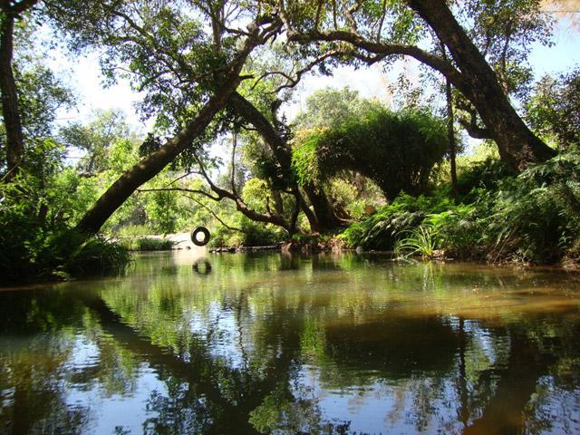 Amanvana Spa and Resort photo 15