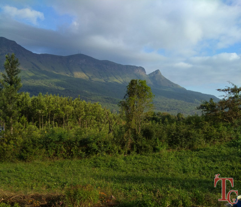 Silver Light Homestay photo 3