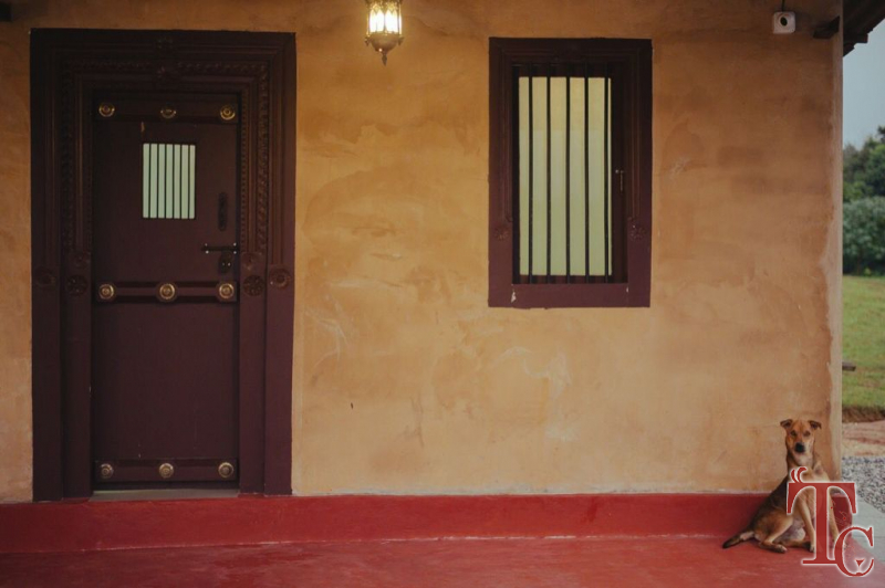 Raintree Eco Stay photo 3
