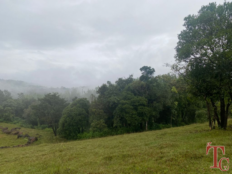Raintree Eco Stay photo 6