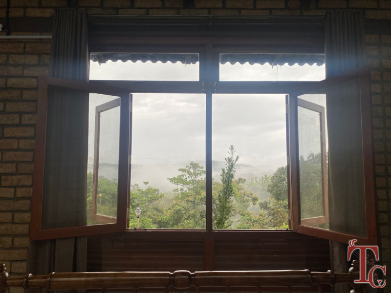 Raintree Eco Stay photo 14