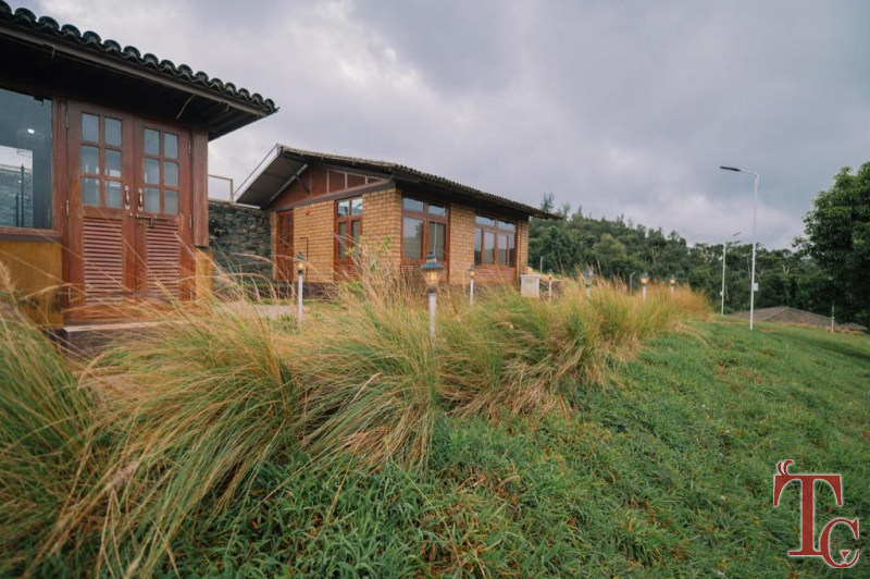 Raintree Eco Stay photo 28