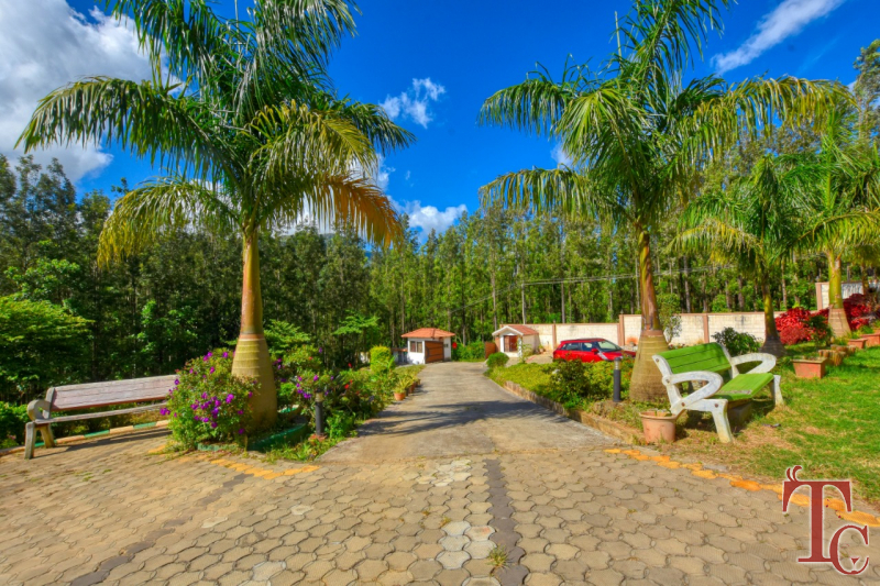 Elegance Homestay photo 3