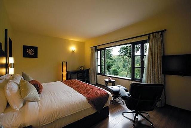 Windflower Resort and Spa photo 8