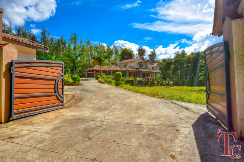 Elegance Homestay photo 12