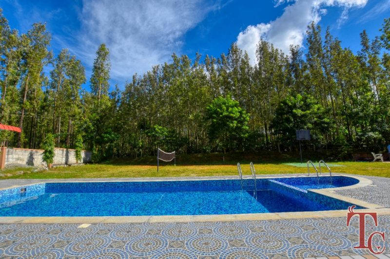 Elegance Homestay photo 13