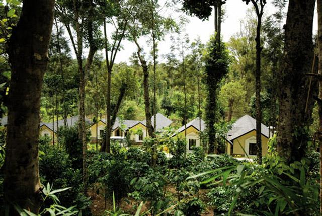 Windflower Resort and Spa photo 10
