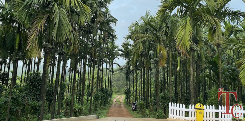 The Aamantrana Retreat photo 8