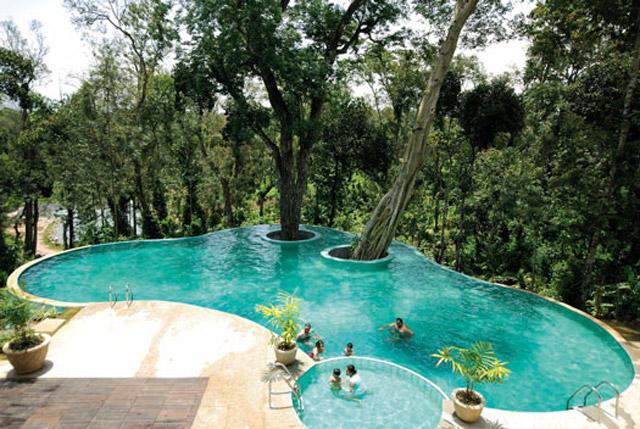 Windflower Resort and Spa photo 14