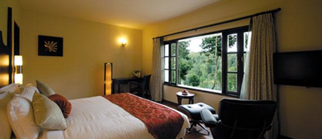 Windflower Resort and Spa photo 17