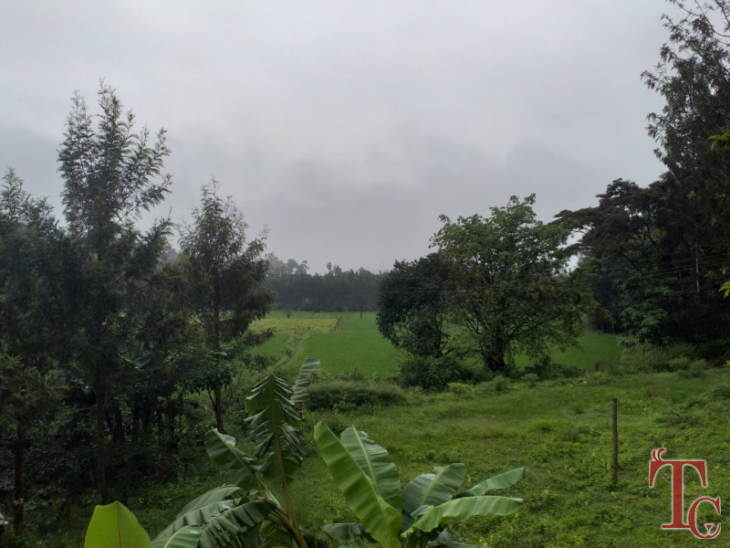 Lemon Homestay photo 10