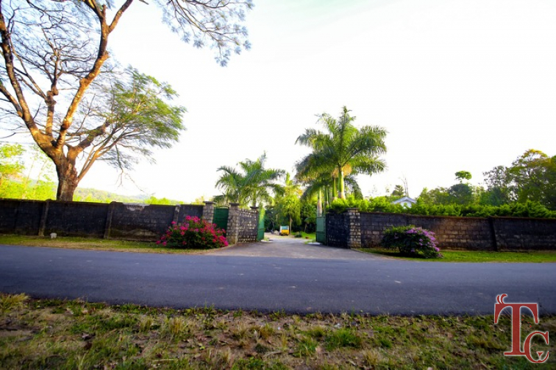 Rain Tree Homestay photo 25