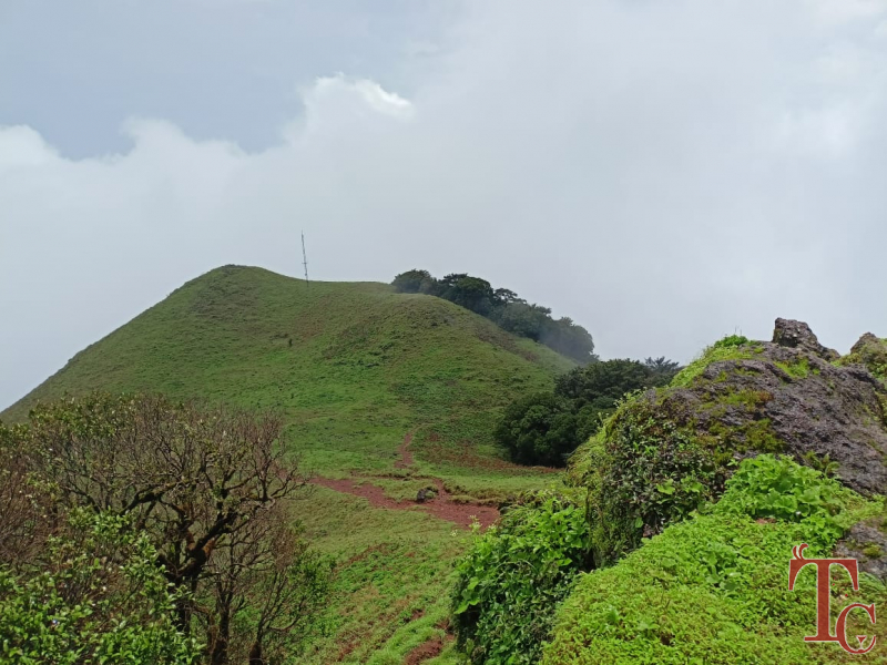 Wild Hills Resort photo 9