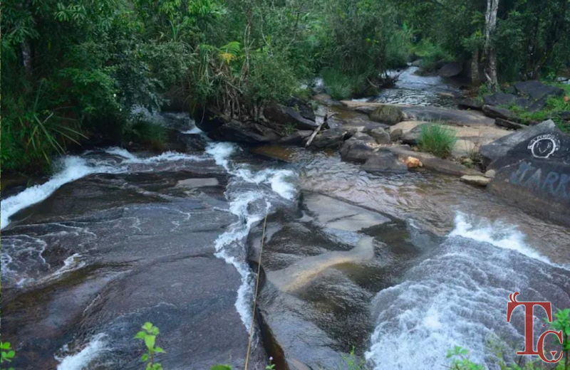 Haranamakki Horanadu Stay photo 2