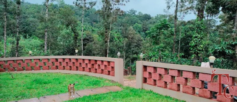 Haranamakki Horanadu Stay photo 3