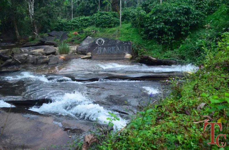 Haranamakki Horanadu Stay photo 11