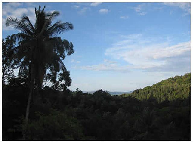 Kalgreen Valley Resort photo 56