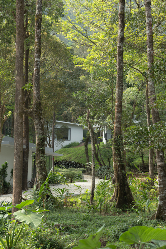 Elakki Valley Retreat photo 6