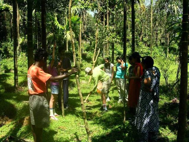 Adventure in Agumbe photo 2