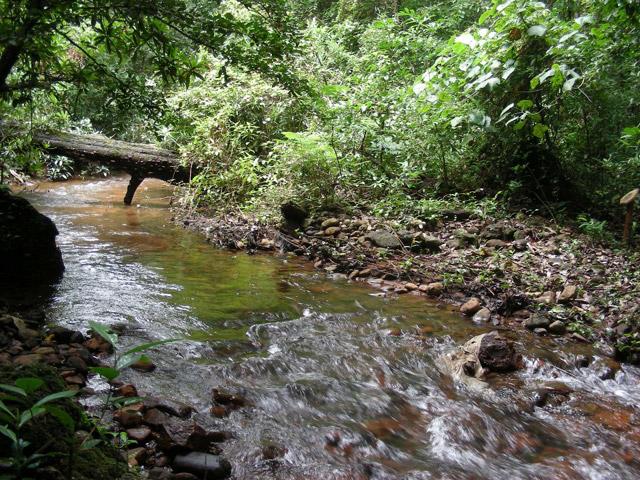 Adventure in Agumbe photo 3