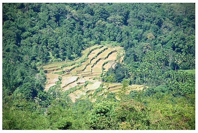 Kalgreen Valley Resort photo 59