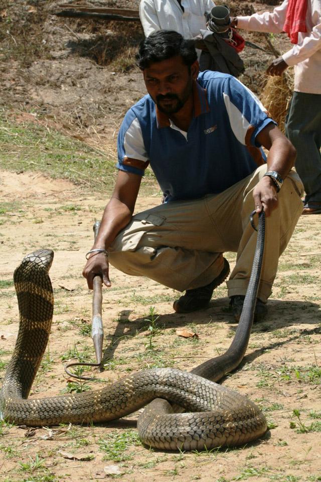 Adventure in Agumbe photo 10