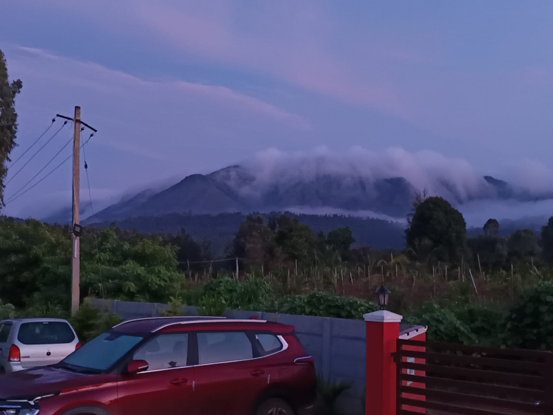 Green Mount Homestay photo 23