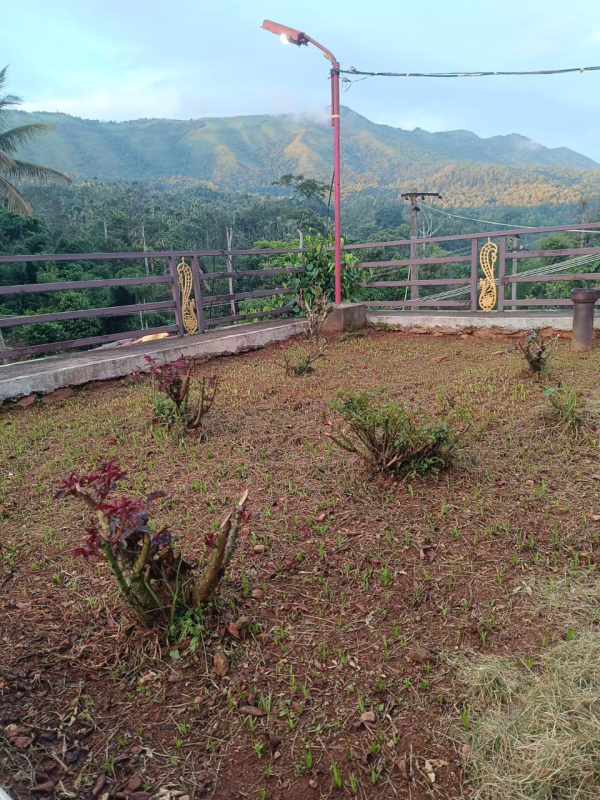 Cliff Haven Homestay photo 3