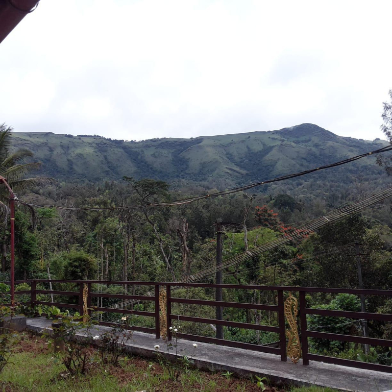Cliff Haven Homestay photo 6