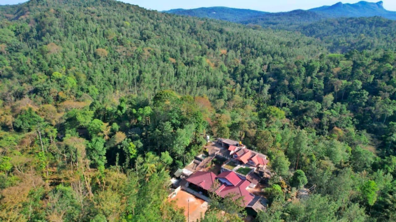 Cliff Haven Homestay photo 14