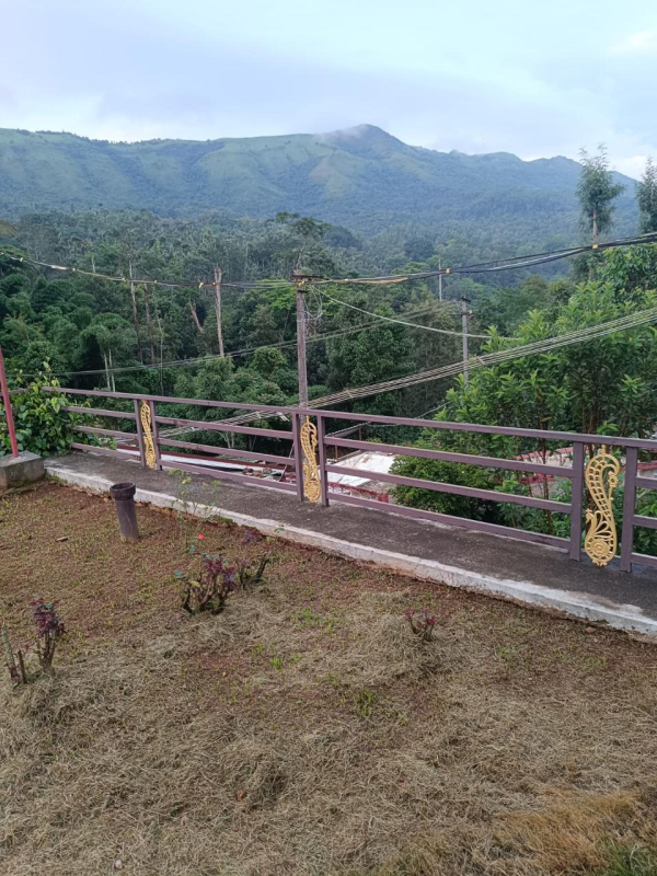 Cliff Haven Homestay photo 16
