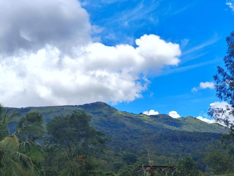 Cliff Haven Homestay photo 18
