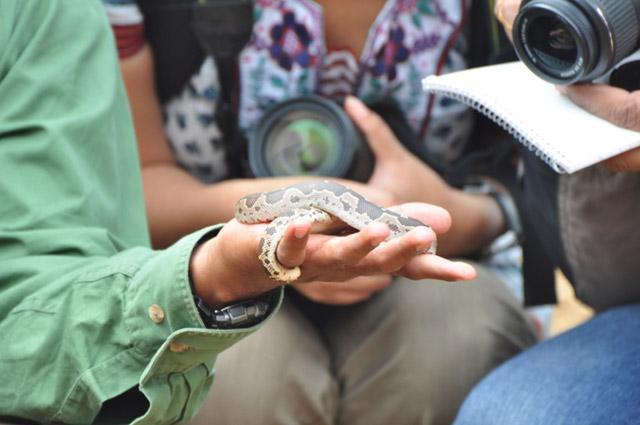 Adventure in Agumbe photo 16