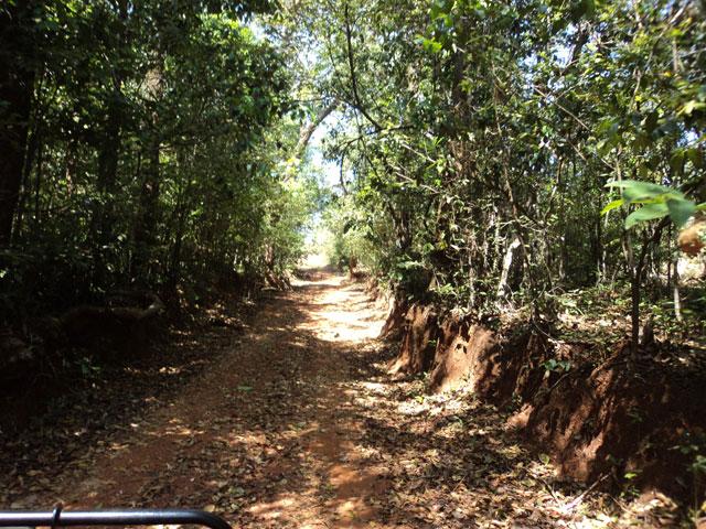 Adventure in Agumbe photo 19